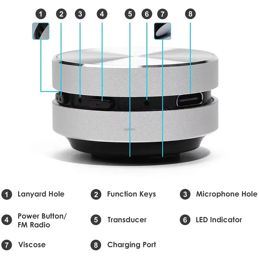 Hot Hummingbird Bone Conduction Speaker with FM Radio Bluetooth-Compatible TWS Wireless Stereo Dual Sound Audio Box Mini Speaker