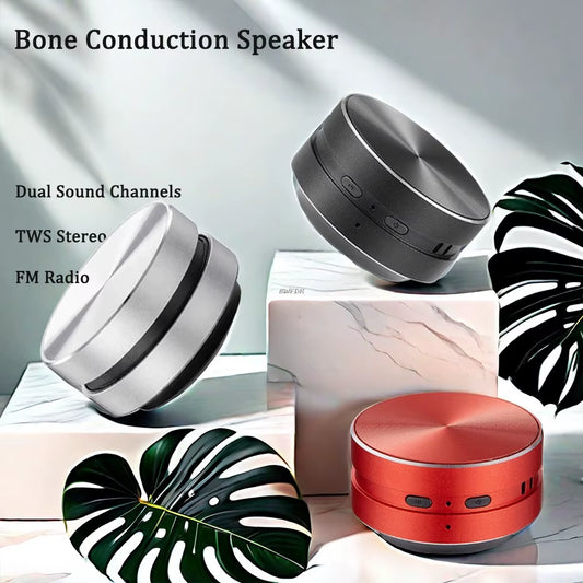 Hot Hummingbird Bone Conduction Speaker with FM Radio Bluetooth-Compatible TWS Wireless Stereo Dual Sound Audio Box Mini Speaker